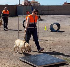 Proteccin Civil impulsa una unidad canina de bsqueda y rescate de vctimas entre los voluntarios de la agrupacin_3