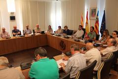Consell de Participaci Ciutadana de junio de 2014_1