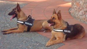 II Jornadas caninas de Polica Local