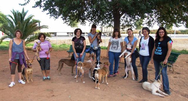 Socializacin para perros en los parques caninos