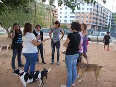 Socialitzaci per a gossos en els parcs canins_1