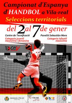 Campionat d'Espanya d'Handbol_2