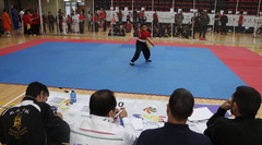 Campeonato de artes marciales_2