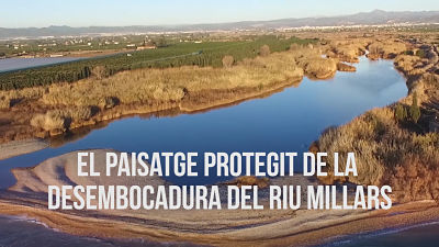 Vdeo El Paisatge Protegit de la Desembocadura del Millars_1