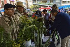 Los alumnos del Taller de Empleo de agricultura difunden las plantas de aromticas en el Mercado del jueves