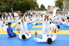 Exhibicions del Judo Club Vila-real_2