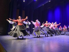 Muestra de danza tradicional 