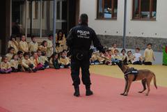 La Unitat Canina de la Policia Local visita el collegi Cervantes_2