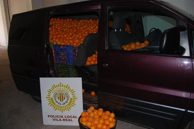 La Polica Local de Vila-real evita el robo de 1.700 kilos de naranjas y detiene a dos personas por supuesto delito de hurto
