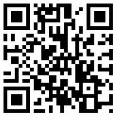 Cdigo QR Programa de Fiestas de Sant Pasqual 2013