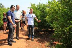 Visita del alcalde de Vila-real y concejales a la finca de Matafruit