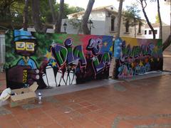 Curs de grafit del Dia Internacional de la Joventut_1