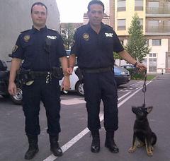Nuevo perro de la Unidad Canina de la Polica Local