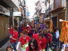 Ofrena a Sant Pasqual 2014_3