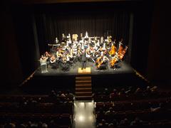 Concert de Supramsica en homenatge a Rafael Beltrn