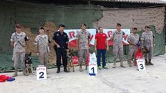 Campeonato de guas caninos de Btera