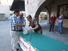 Campaa de alimentos solidarios. Fiestas de la Mare de Du de Grcia 2014_2