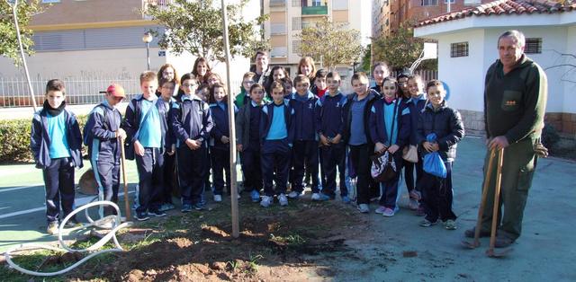 Plantaci d'arbres en la Setmana Ecolgica 2015_3
