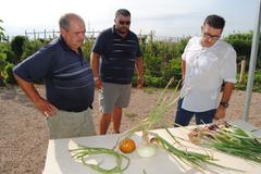 Josep Pasqual Sancho visita los huertos urbanos Fila 13