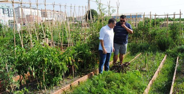 Josep Pasqual Sancho visita els horts urbans Fila 13_2