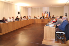 Consell de Participaci Ciutadana 10-12-2015