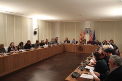 Consell de Participaci Ciutadana. 28-1-2016