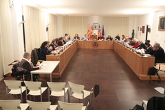 Consell de Participaci Ciutadana. 28-1-2016_2