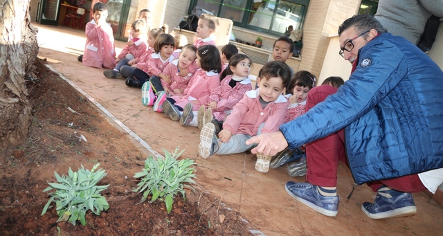 Huerto escolar en el colegio Po XII