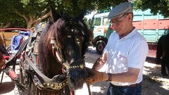 Concurso de tiro y arrastre_2