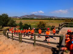 Excursin del concurso Taronges a l'escola 