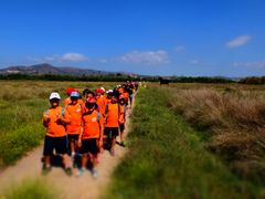 Excursin del concurso Taronges a l'escola _4