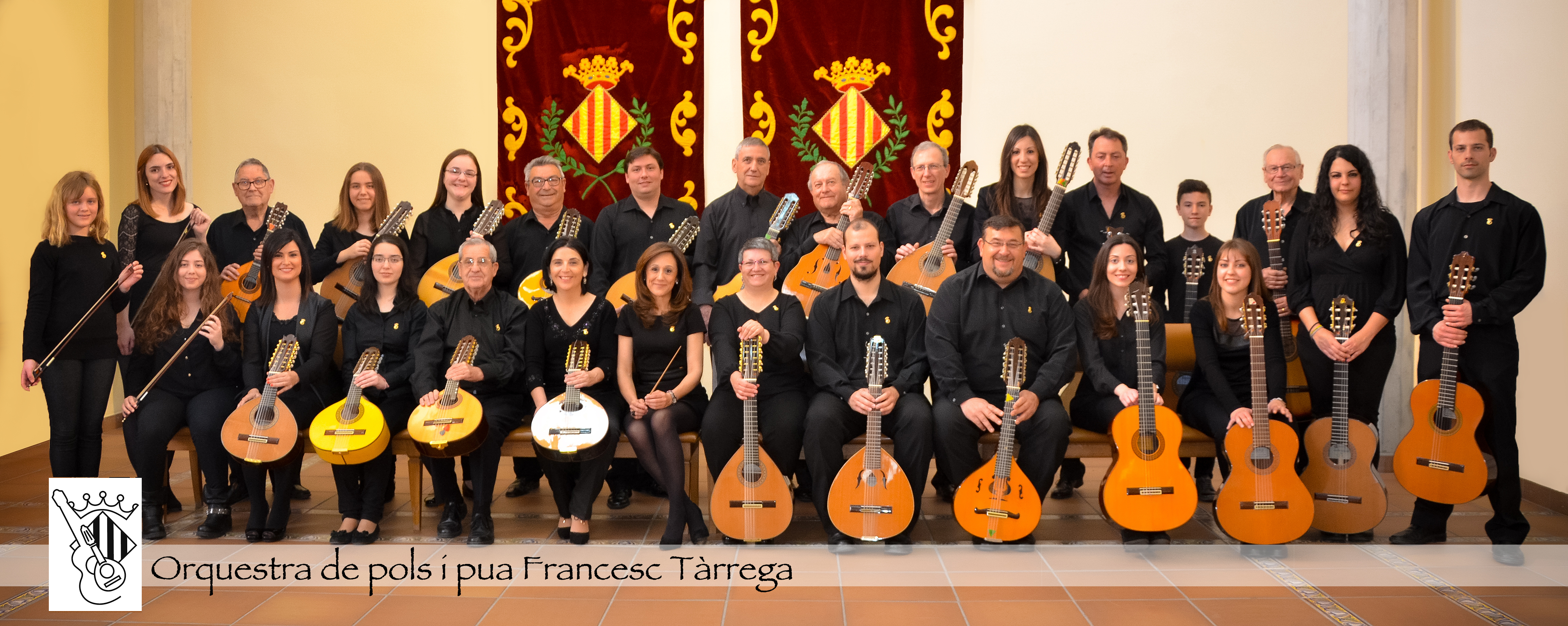 Orquesta de Pulso y Púa Francisco Tárrega