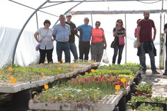 Prcticas del 5 Curso de agricultura ecolgica_1