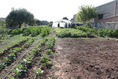 Prcticas del 5 Curso de agricultura ecolgica_2