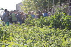 Prcticas del 5 Curso de agricultura ecolgica_3