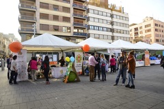 Feria de la Solidaridad y el Voluntariado_7