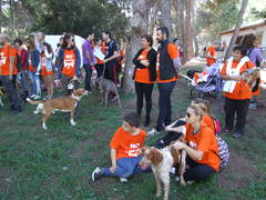 Marcha solidaria canina_1