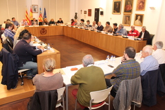 Consell de Participaci Ciutadana 10-11-2016_3