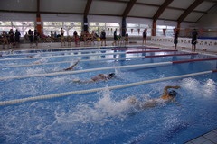 Jornada de nataci Multiesport Escolar_1