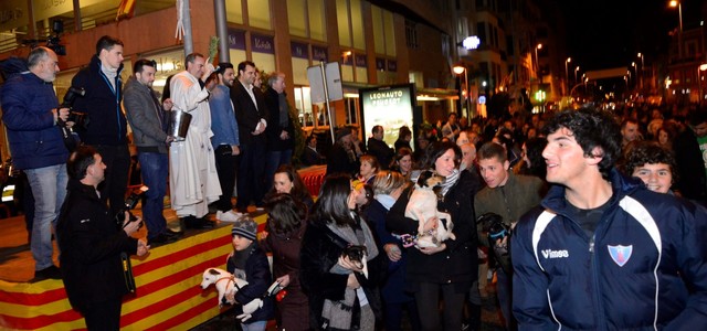 Matx de Sant Antoni_4