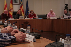 Consell de Participaci Ciutadana 23-2-2017_3