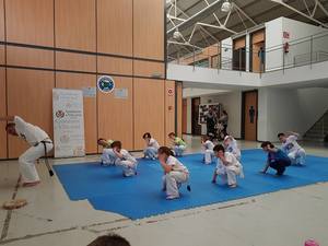 Capoeira_13