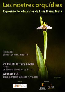 Exposici "Les nostres orqudies"