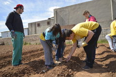 Visita al projecte agrosocial de recuperaci de bajoca