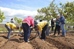 Visita al projecte agrosocial de recuperaci de bajoca_1