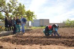 Visita al projecte agrosocial de recuperaci de bajoca_2