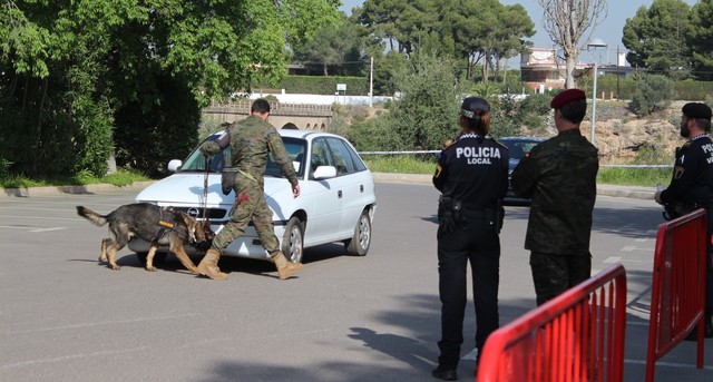 II Campeonato de perros detectores de sustancias_2