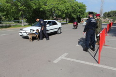 II Campeonato de perros detectores de sustancias_4