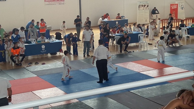 VIII Trofeo Judo San Pascual_2