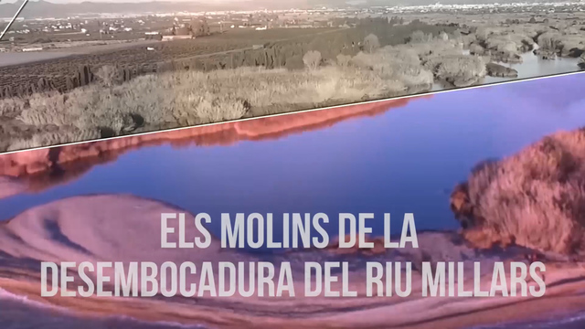 Els Millars: Els molins de la desembocadura del riu Millars